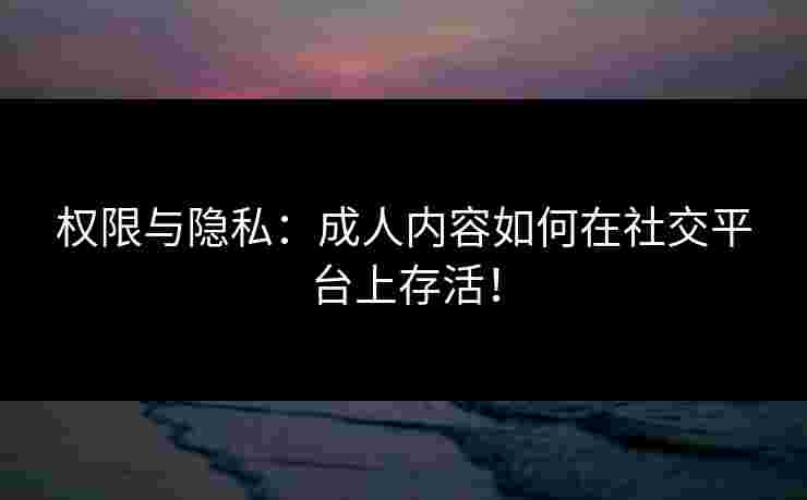 权限与隐私：成人内容如何在社交平台上存活！