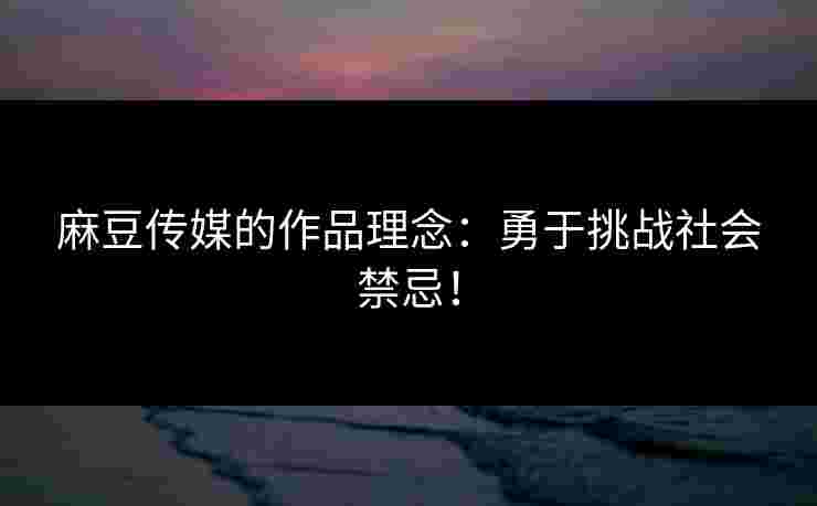 麻豆传媒的作品理念：勇于挑战社会禁忌！